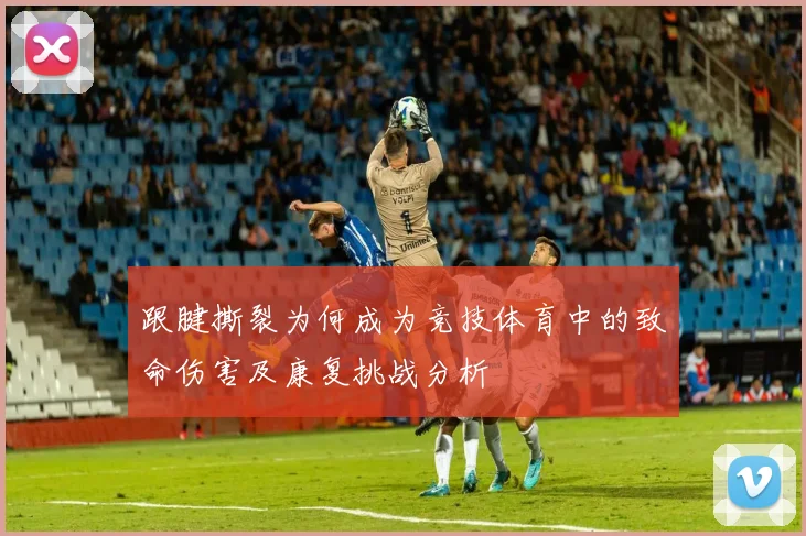 跟腱撕裂为何成为竞技体育中的致命伤害及康复挑战分析
