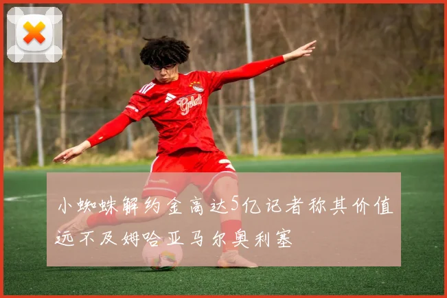 小蜘蛛解约金高达5亿记者称其价值远不及姆哈亚马尔奥利塞